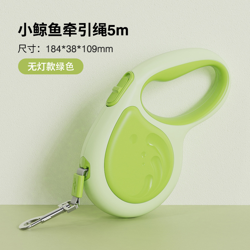 Amazon's best-selling pet dog Teddy automatic telescopic leash, cat and dog leash, 3m outdoor dog walking leash Application Scenario