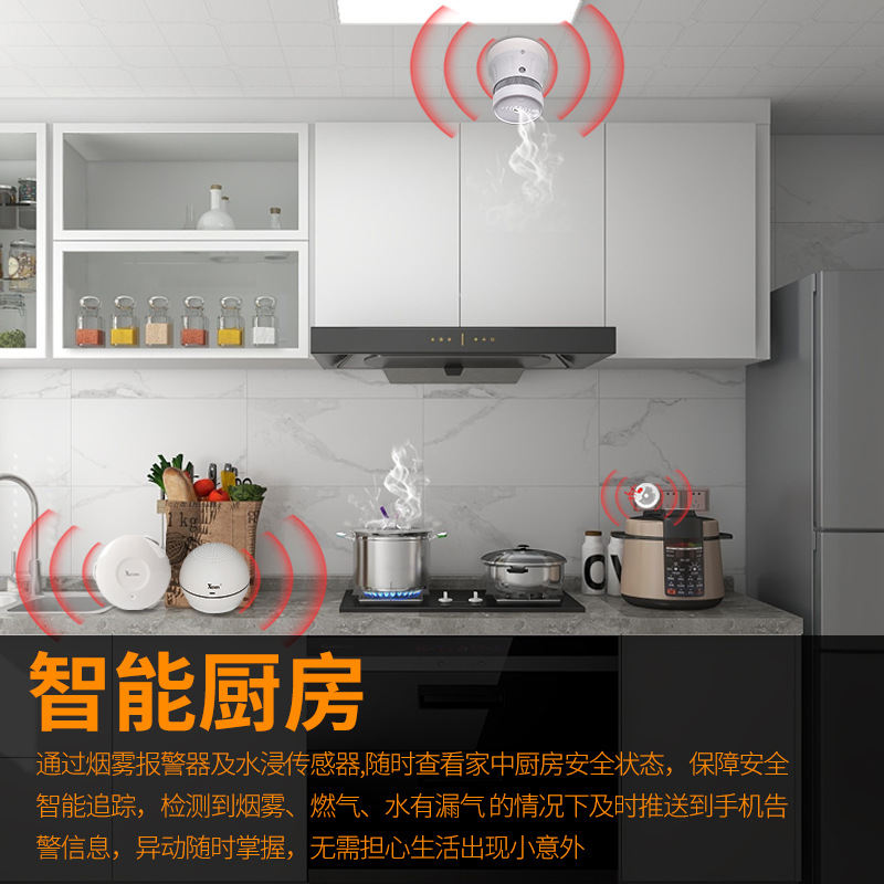 Tuya smart home sensor door magnetic smoke, gas, temperature, humidity, water immersion alarm, smart human body sensor details Picture