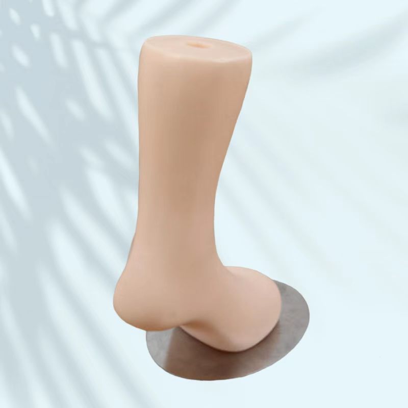 动植物/仿真模型实物图