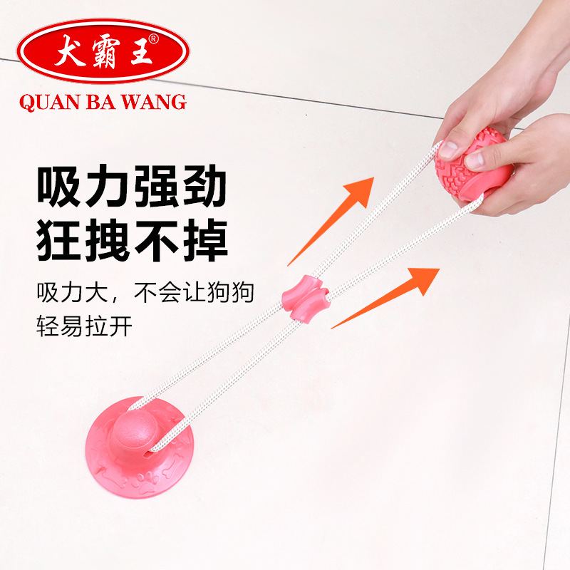 Amazon dog toys and pet supplies suction cups, drawstrings, teething sticks that won't break, self-heating leak-proof balls, leak-proof design Application Scenario