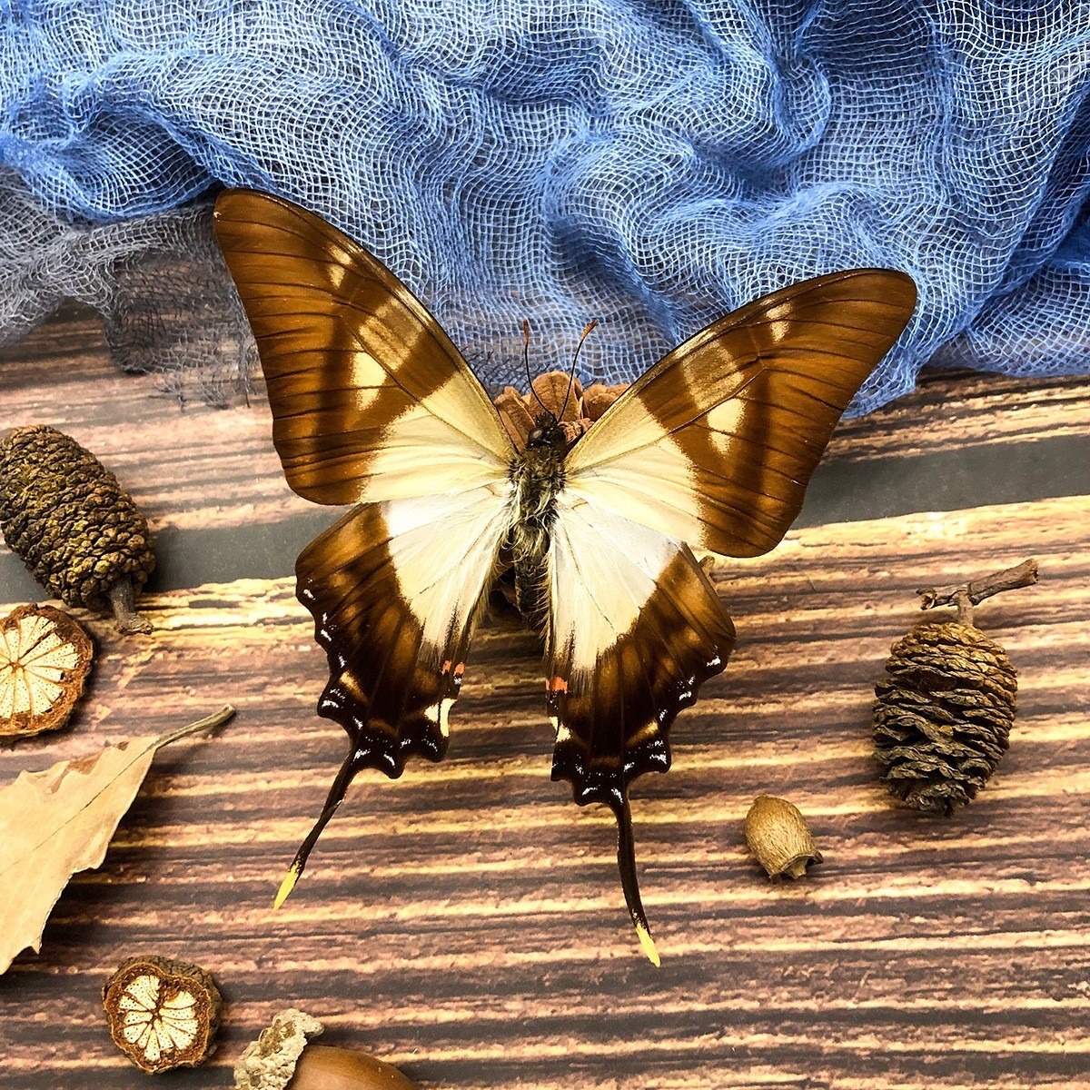 仿真花/装饰花/塑料花假花/假花/家饰塑料花产品图