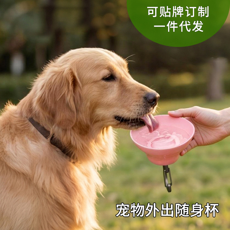 狗狗外出水壶 便携式宠物随行杯 可挂式户外饮水瓶 厂家直供批发