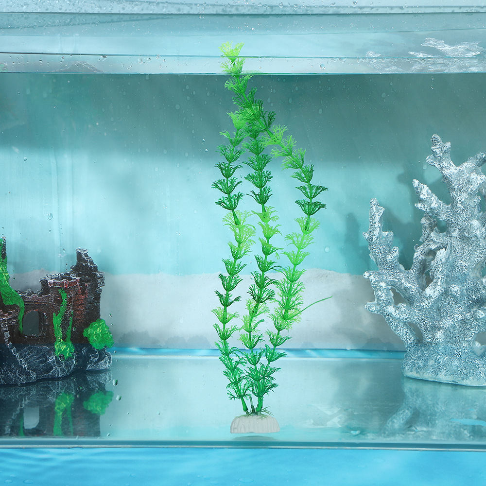 Plastic water plant micro-landscape simulation ornaments for fish tank landscaping, long seaweed leaf background and green plants for aquarium decoration Application Scenario