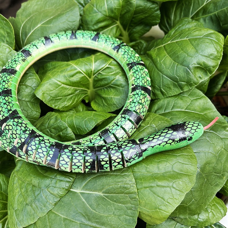 仿真昆虫实物图