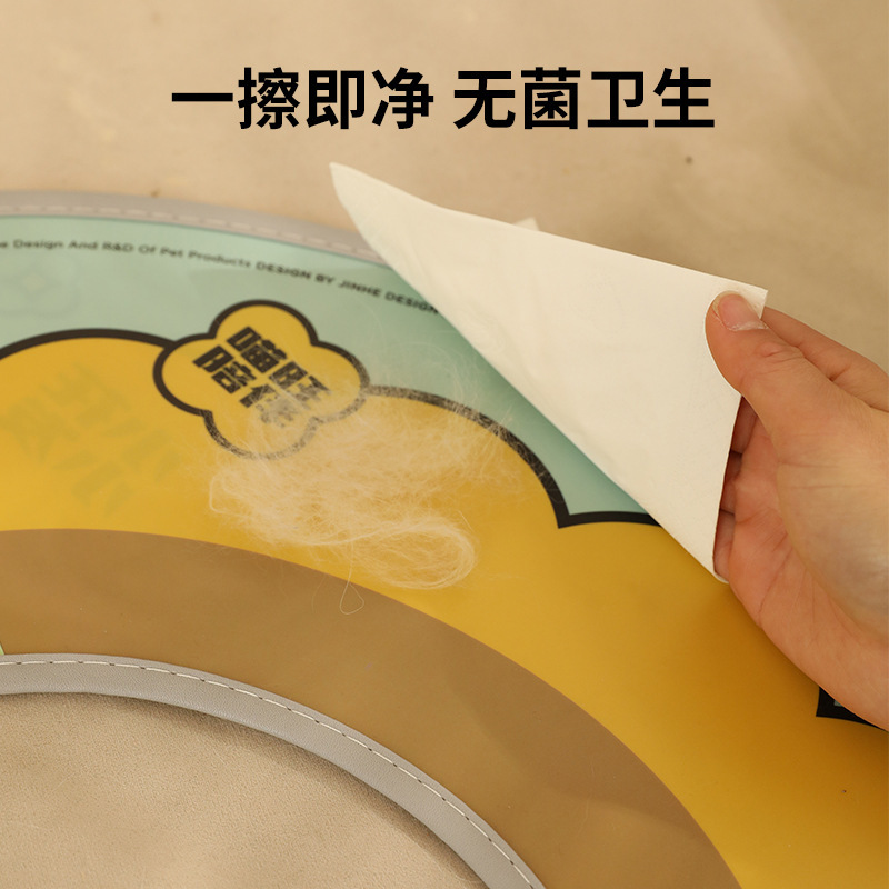 宠物项圈实物图