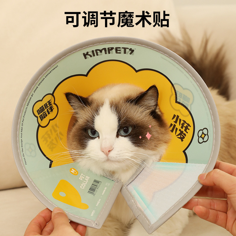 宠物项圈/宠物/宠物皮带项圈/轻奢宠物项圈/宠物饰品产品图