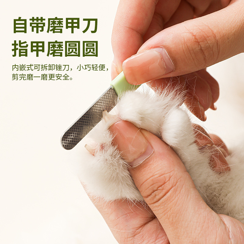 猫猫清洁美容工具实物图