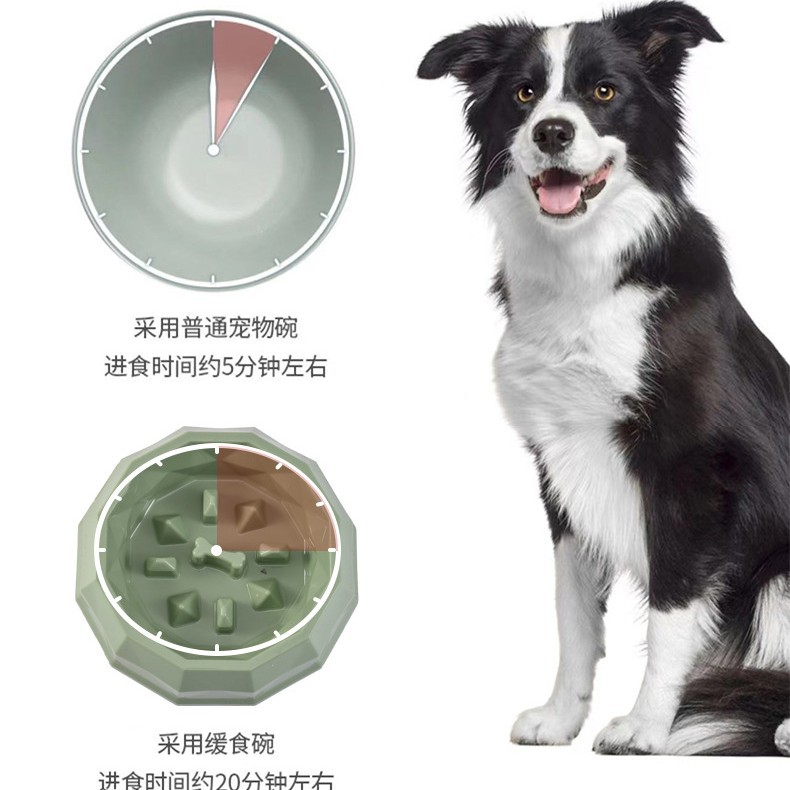 Rongka Pet Cross-border Pet Cat and Dog anti-choking and anti-vomiting slow Food Bowl, multi-color small and medium-sized dog feeder, Diamond bowl, slow food bowl Application Scenario