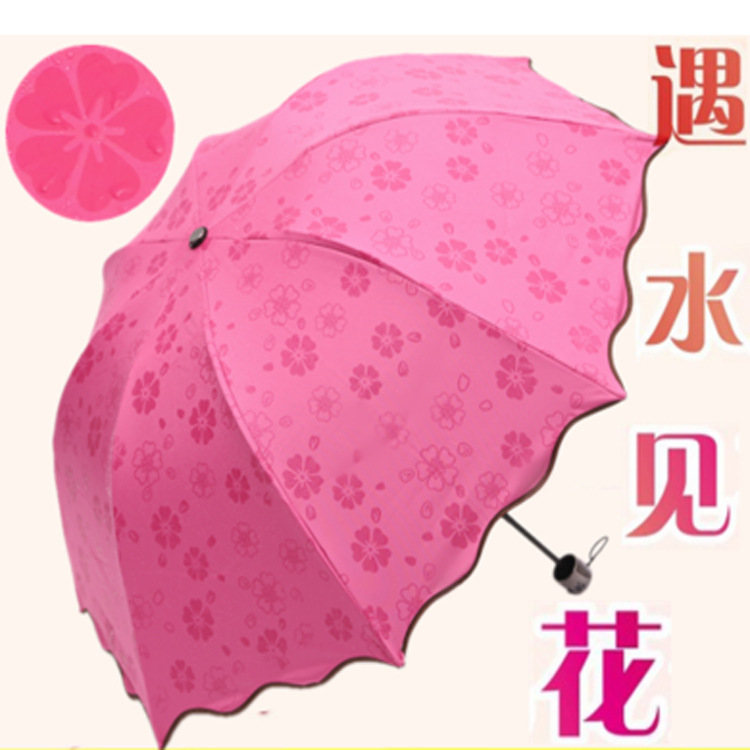 雨伞实物图