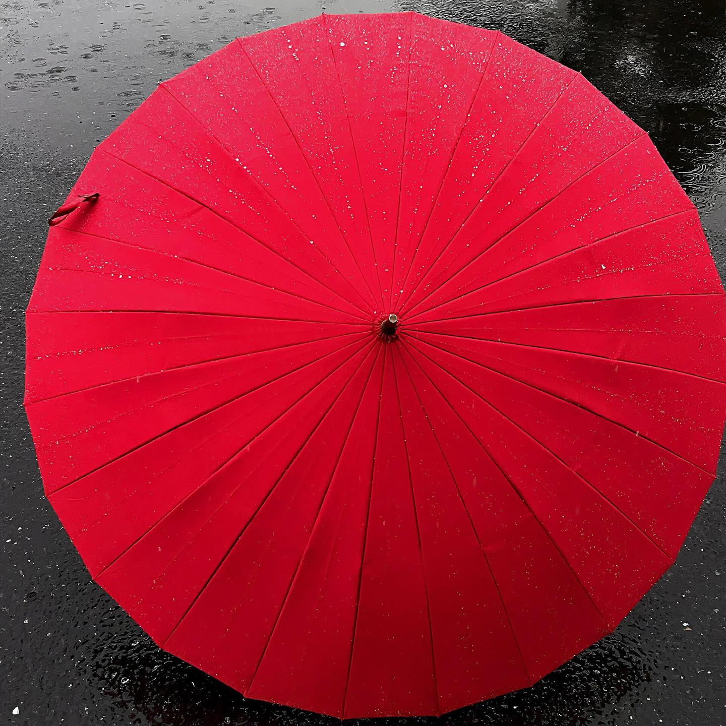 雨伞/雨伞太阳伞/自动折叠伞/胶囊雨伞/雨伞套装细节图