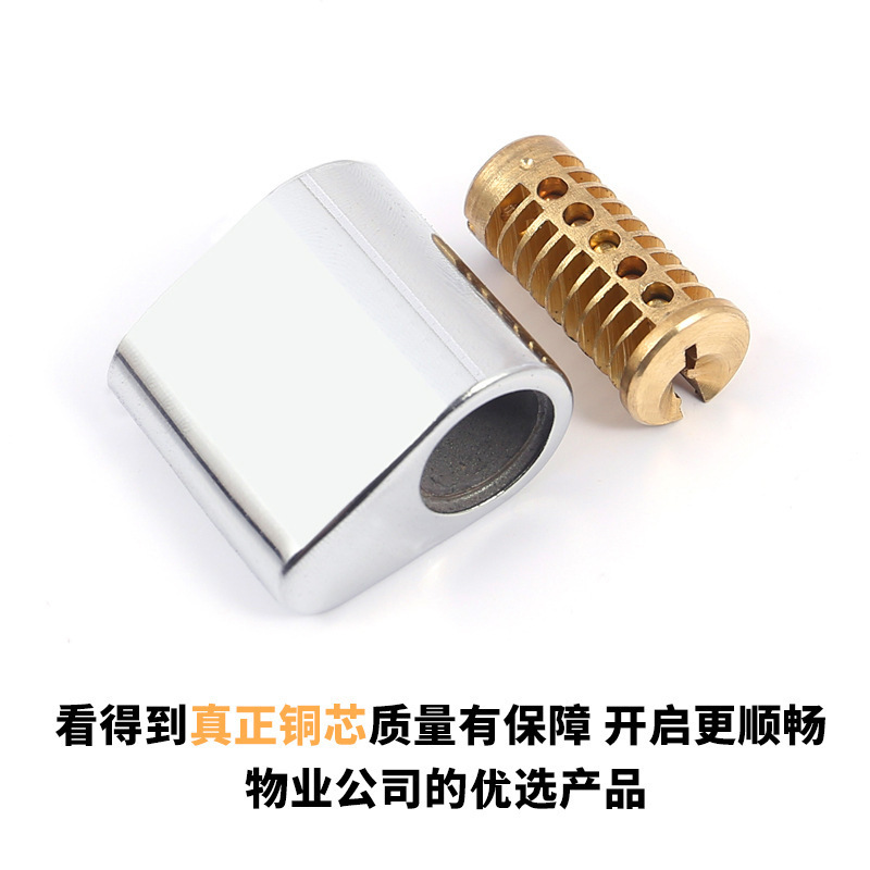 Fireproof door lock core, fire door lock core, pipe well lock, short lock core, safety door passage lock core, escape copper lock core details Picture