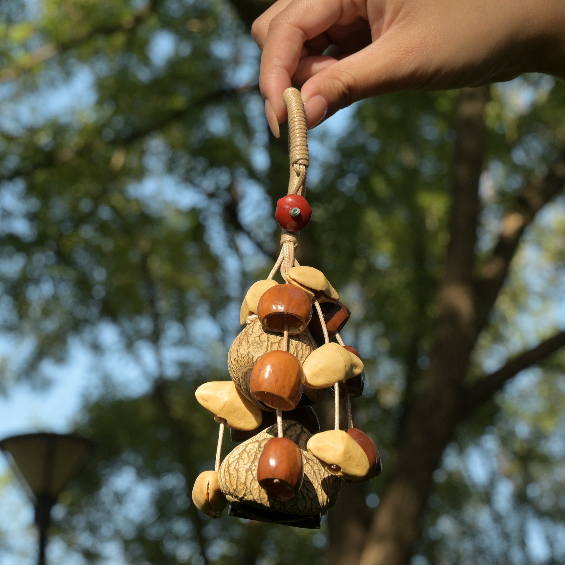 果壳手摇种子果实铃铛串挂件音乐伴奏治愈音疗乐器瑜伽冥想