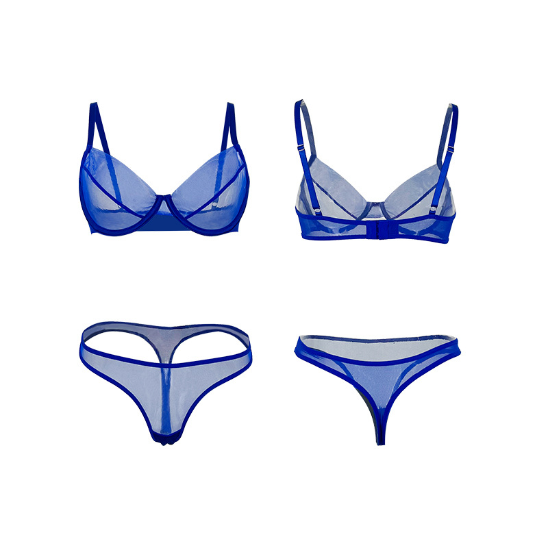 European and American style mesh memory soft steel ring lingerie set, sexy gathering two-piece women's lingerie wholesale JR062 Item Picture