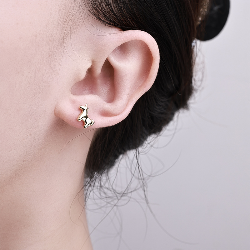 Zhuoheng Select New AliExpress earrings, European and American cross-border S925 silver inlaid hip-hop style stud earrings, high-end and light luxury earrings