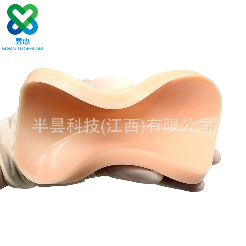Orange rectangular pads for medical teaching AIDS, medical models, acupoint models, and teaching demonstration tools details Picture