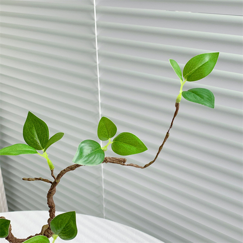 仿真植物实物图