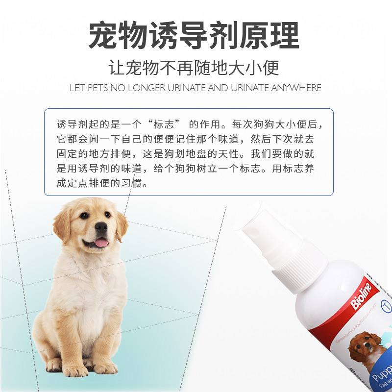 import细节图