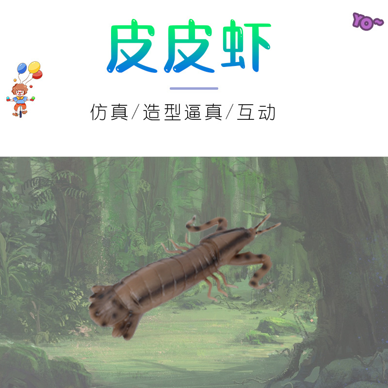 动植物/仿真模型实物图