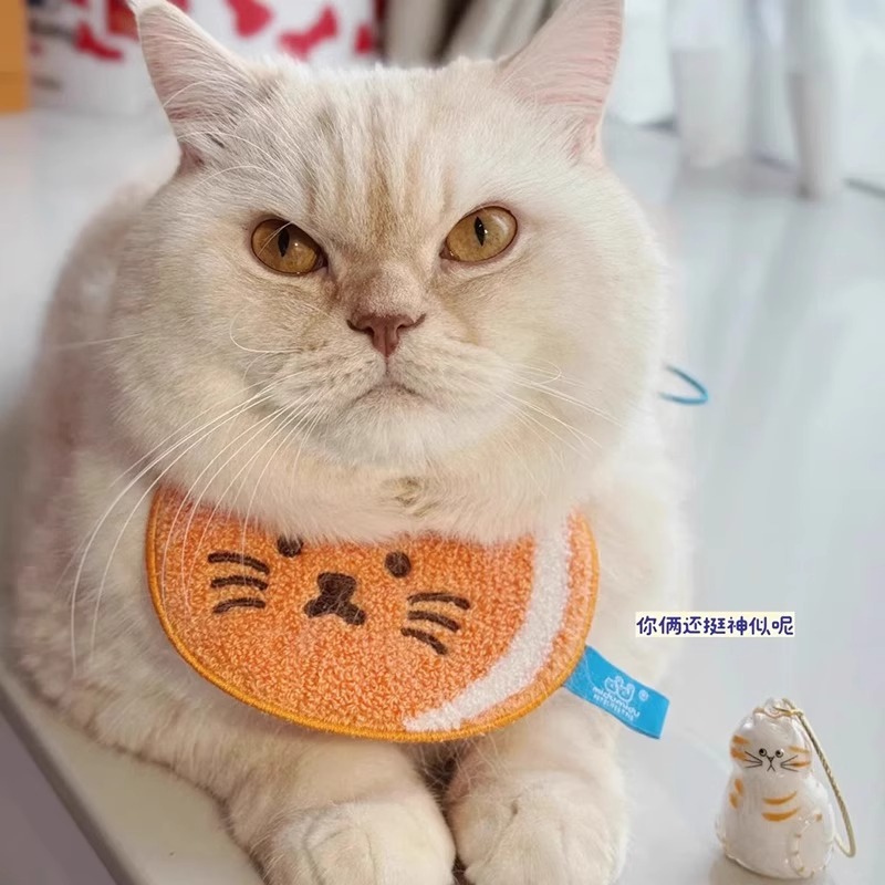 透明猫型猫毛收纳吊饰扭蛋猫咪毛发存放胶囊纪念包钥匙扣包挂件详情图2