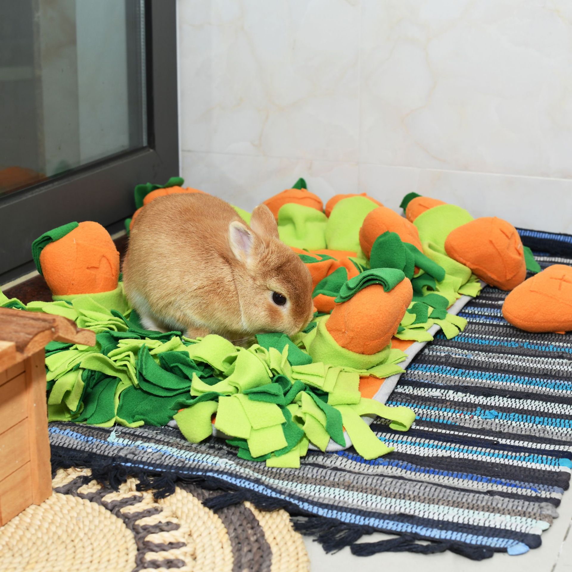 Rongka Pet Cross-border Radish Element Series: Five Radish Pull and Pull Pet Sniffing Pads, fun and educational pet supplies, and Tibetan food pads Application Scenario