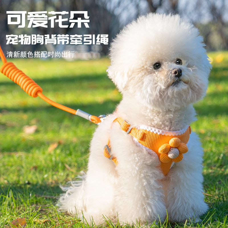 戎咖宠物泰迪比熊小型犬猫咪胸背带狗狗牵引绳背心式宠物胸背
