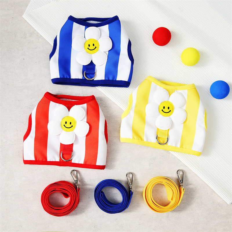 狗狗服装实物图