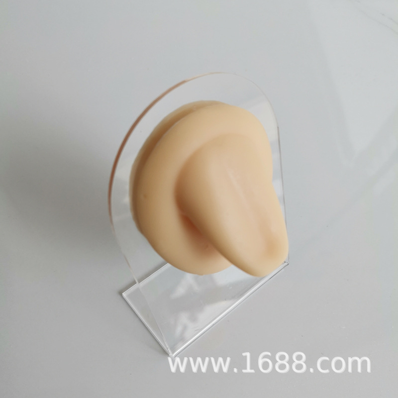 Soft silicone rubber simulation human tongue model, tongue nail display, puncture and perforation practice, medical display props Application Scenario