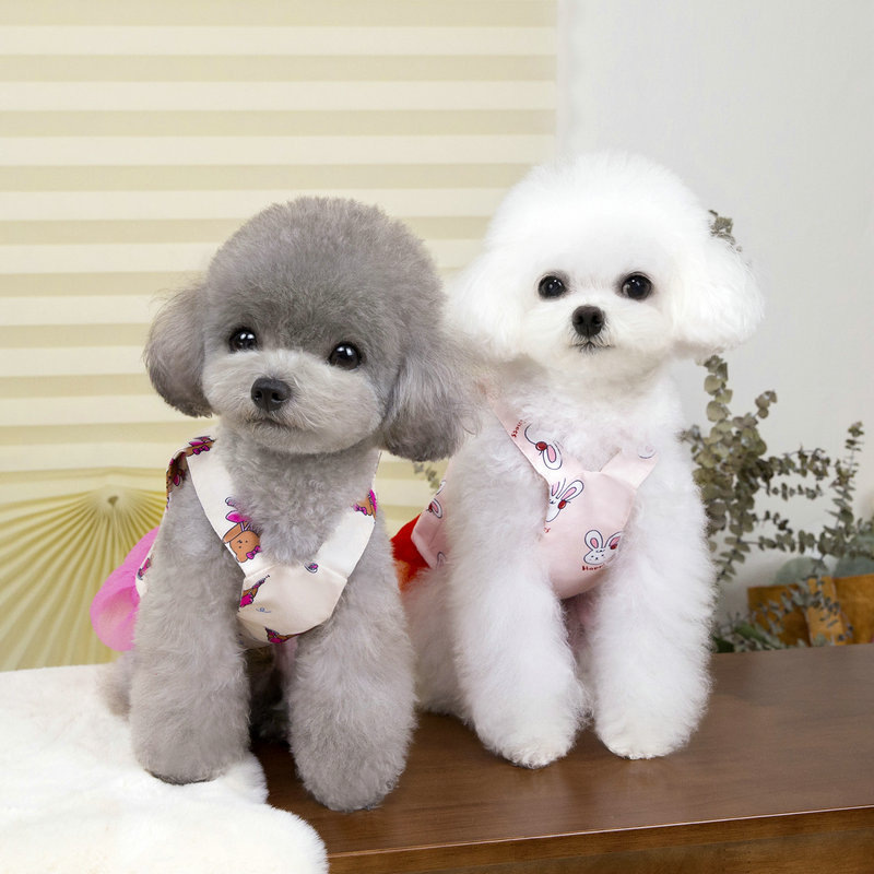 New spring and summer dog and cat clothing, pet halter nets, gauze skirts, evening gowns, small and medium-sized dog supplies details Picture