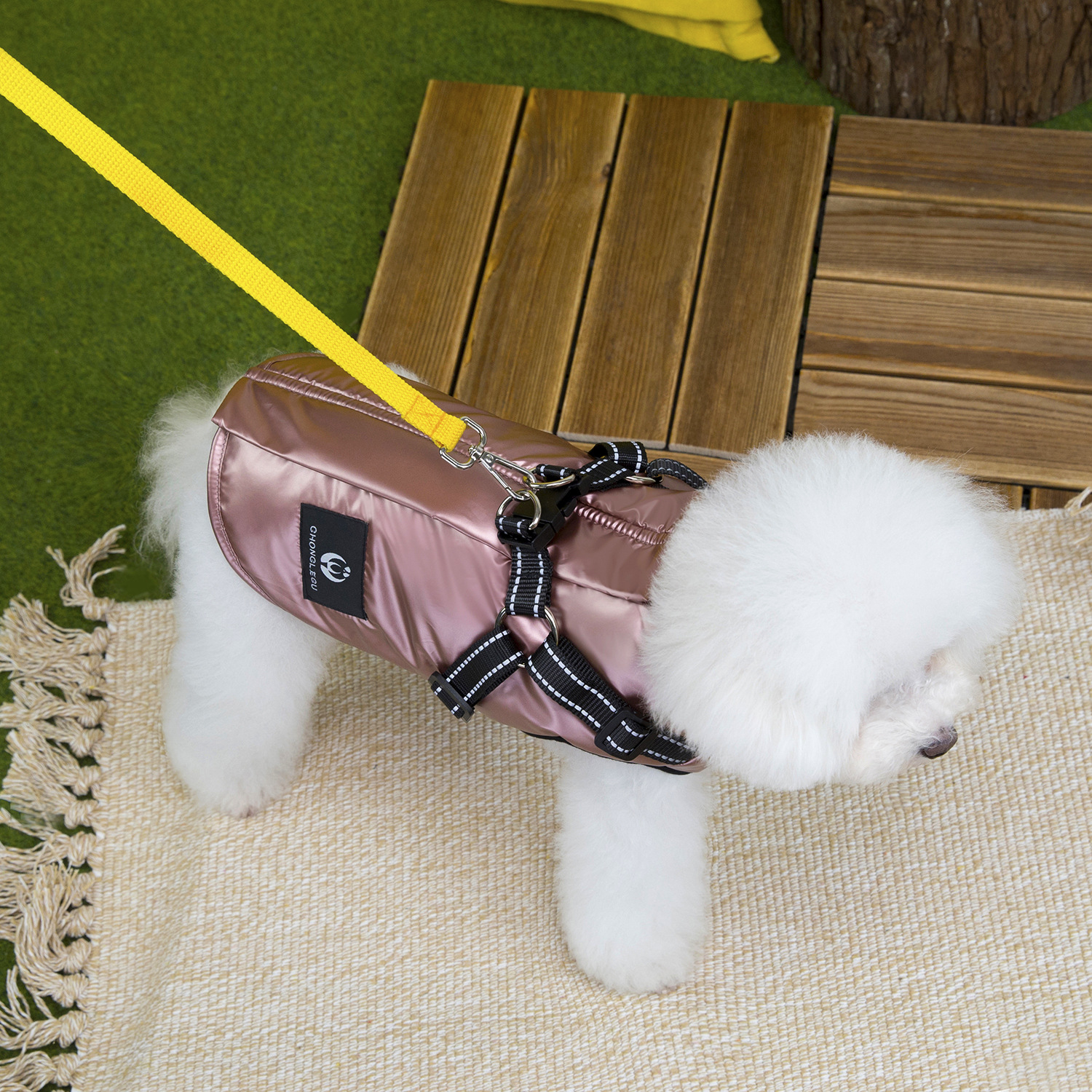 狗狗服装实物图