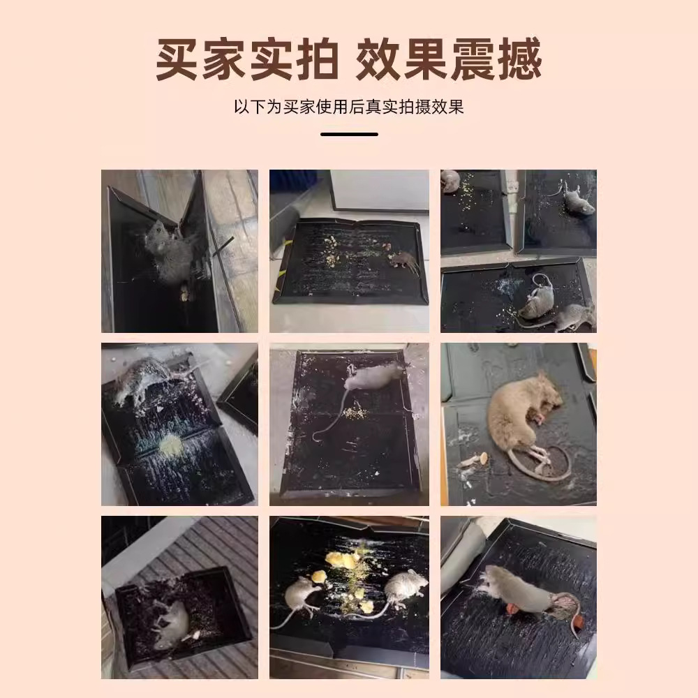 老鼠贴超强力粘鼠板抓大老鼠扑捉灭鼠胶沾家用捕鼠神器批发产品图