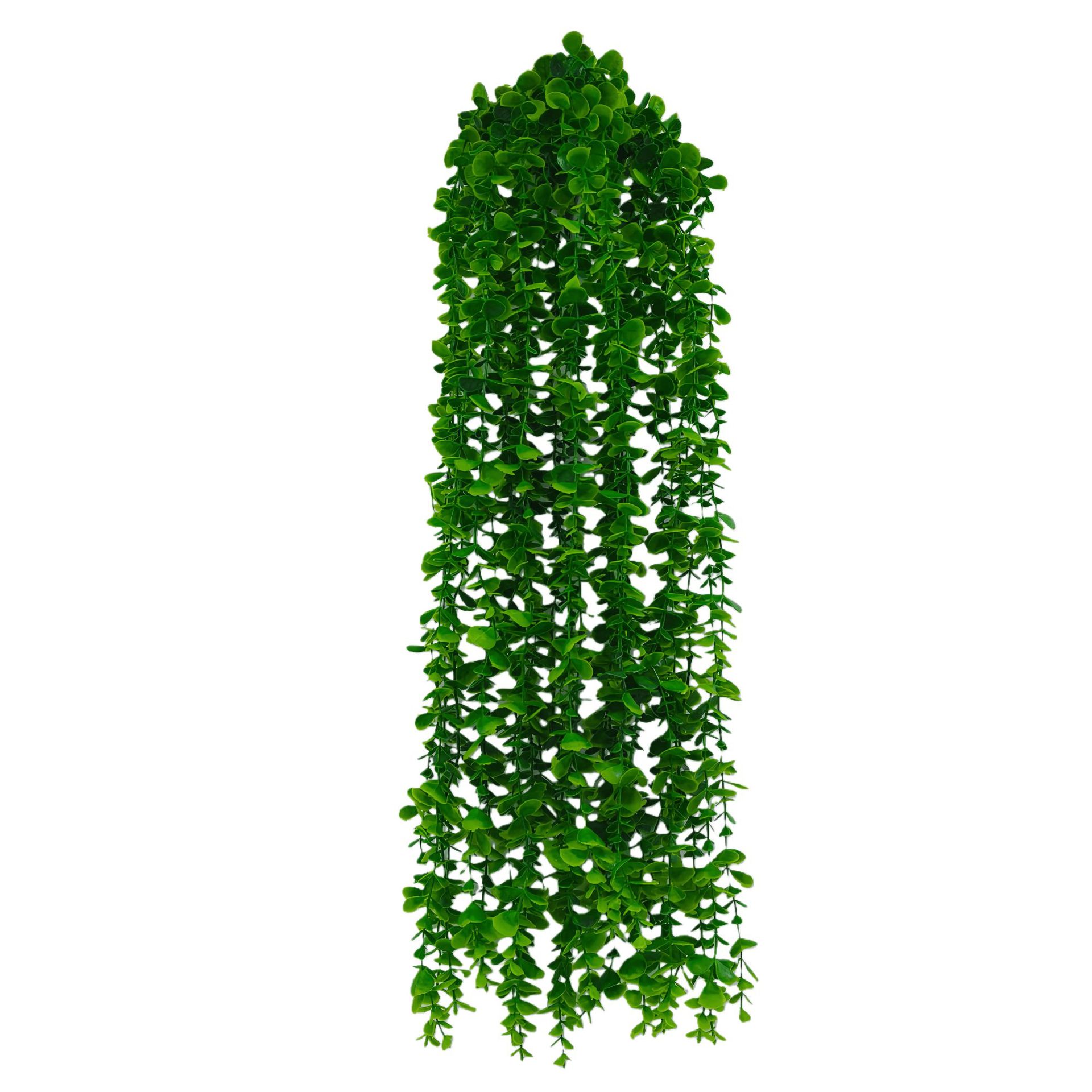 尤加利藤条仿真绿色藤条壁挂尤加利条仿真水草尤加利伴手礼婚庆墙白底实物图