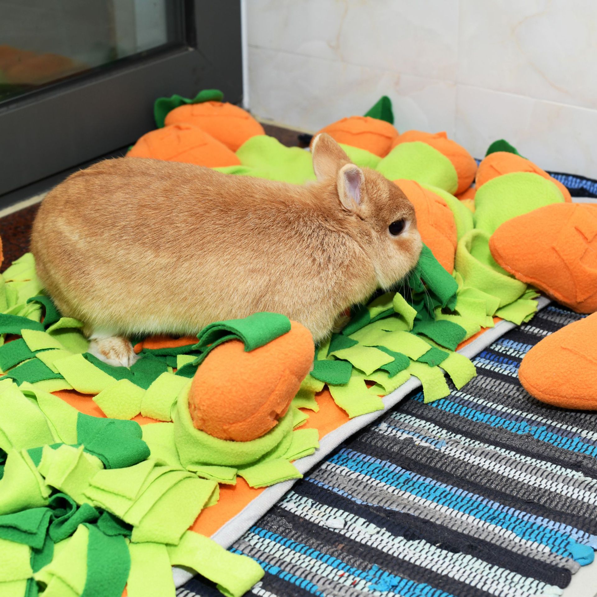 Rongka Pet Cross-border Radish Element Series: Five Radish Pull and Pull Pet Sniffing Pads, fun and educational pet supplies, and Tibetan food pads Specification image