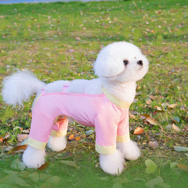 Dog dust-proof pants, walking pants, spring and summer anti-dirt and anti-insect light four-leg pants, leg guards, small dog spring and summer clothes
