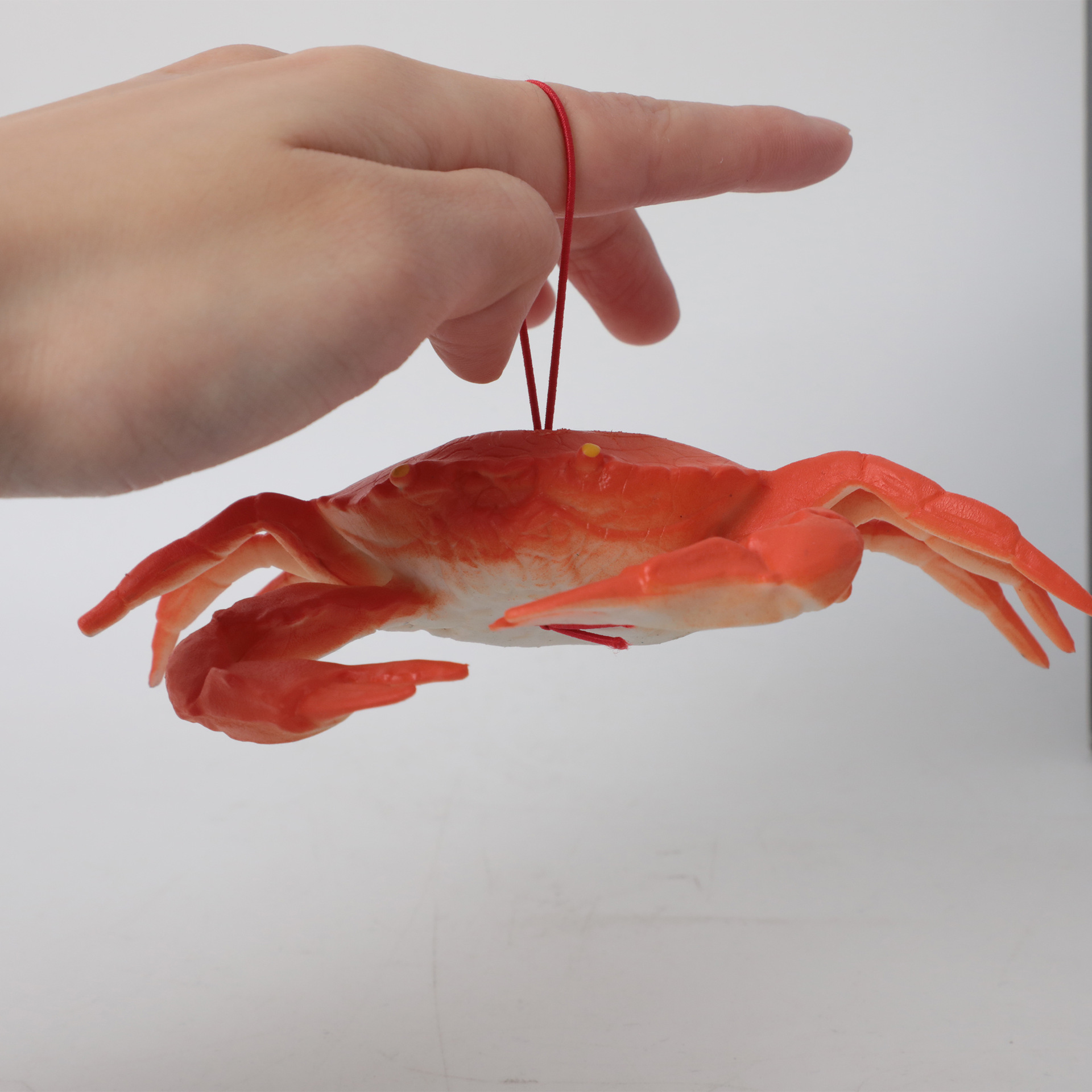 Animal simulation models for cognitive enlightenment, insects, small animals, children's toys, and prank toys Application Scenario