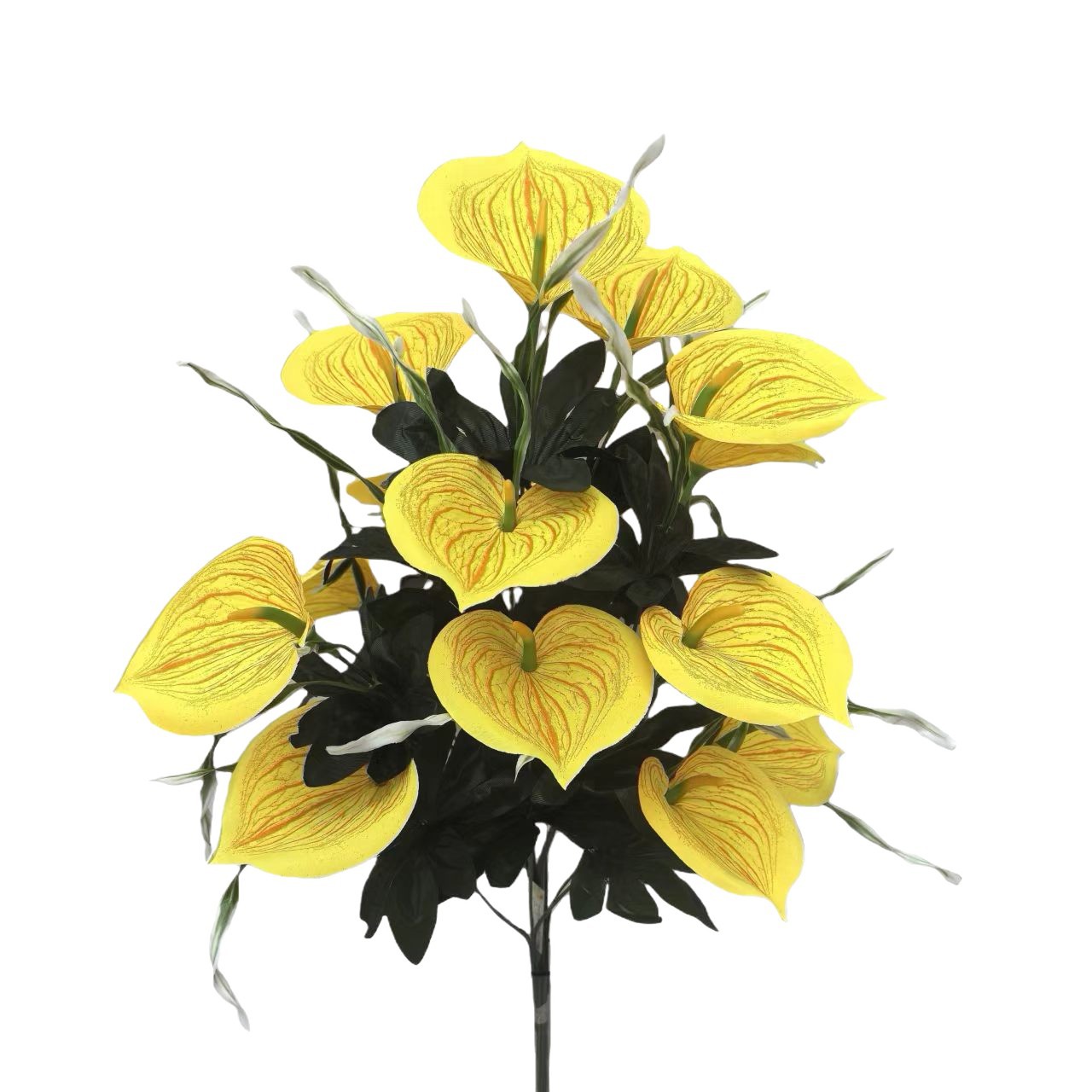 茉莉花干花/发圈/拉菲草雏菊/永生花/宠物玩具白底实物图