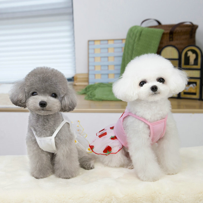 Spring and summer new dog and cat clothing, pet striped halter mesh chiffon skirt, dog supplies, 25-color golden chiffon skirt details Picture