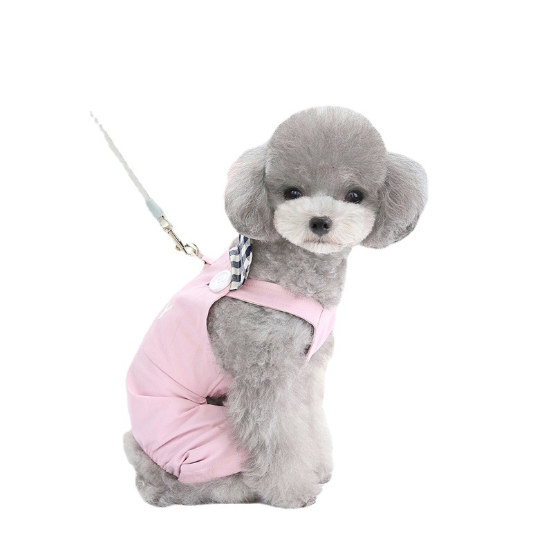 背带裤/衬衫夹/娃衣扣子/塑料白色扣子/裤钩白底实物图