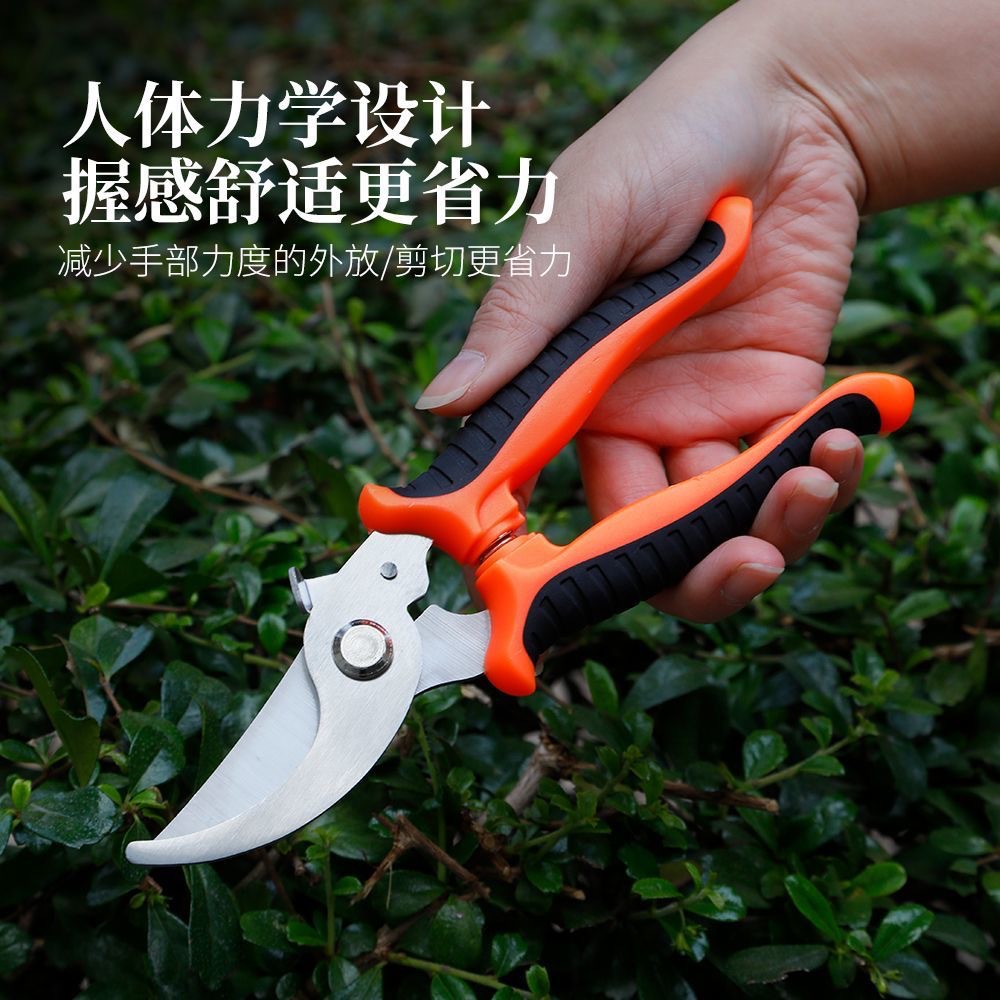 医用剪刀实物图
