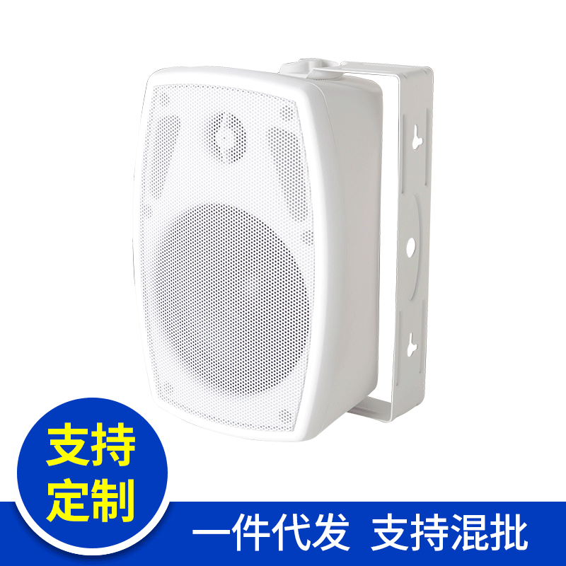 6.5寸音箱魔音音箱壁挂音箱教堂音响高保真音箱定压定阻转换 40W