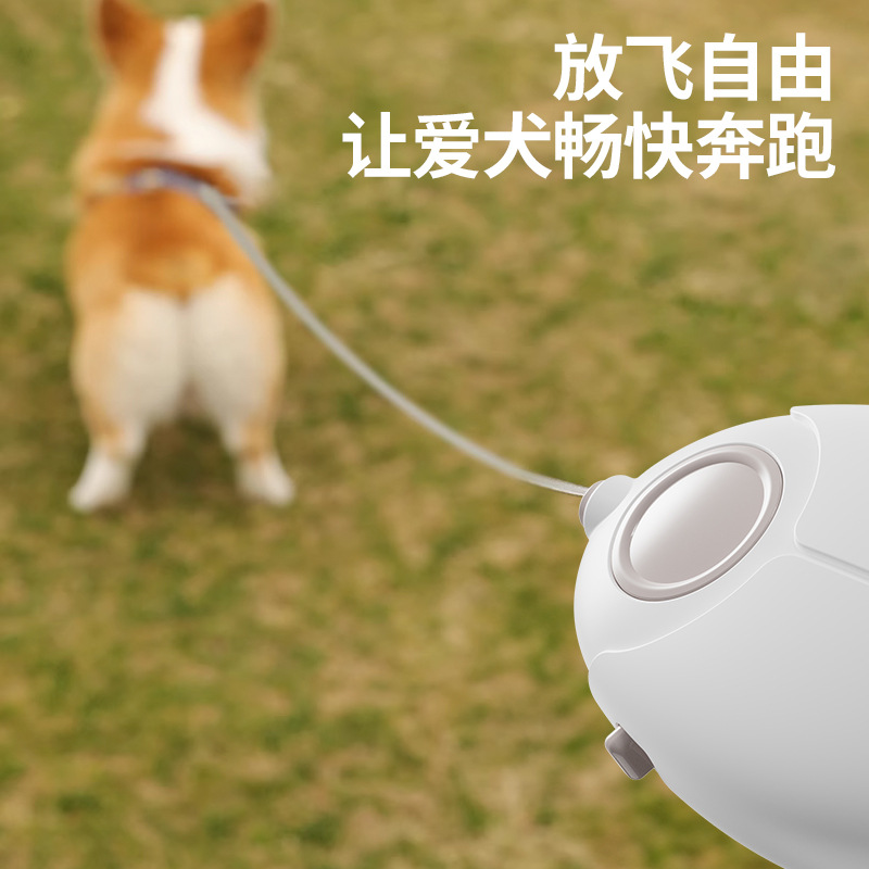 Cross-border dog leash, luminous dog leash, automatic retractable pet leash, dog walking leash, dog leash, dog supplies leash C72 details Picture