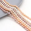 Natural freshwater pearl rice beads, DIY jewelry accessories, handmade jewelry necklaces, wholesale and production Specification image