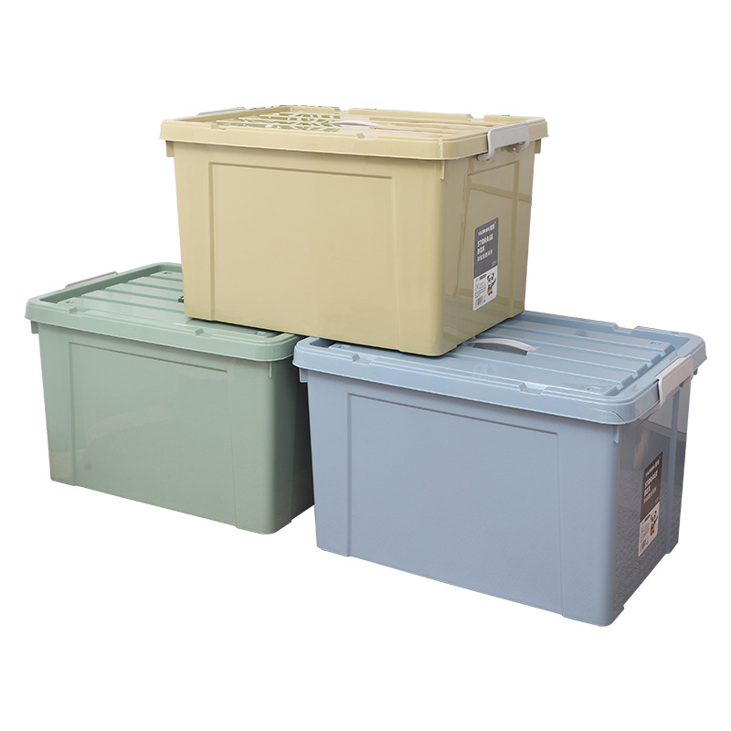 import白底实物图