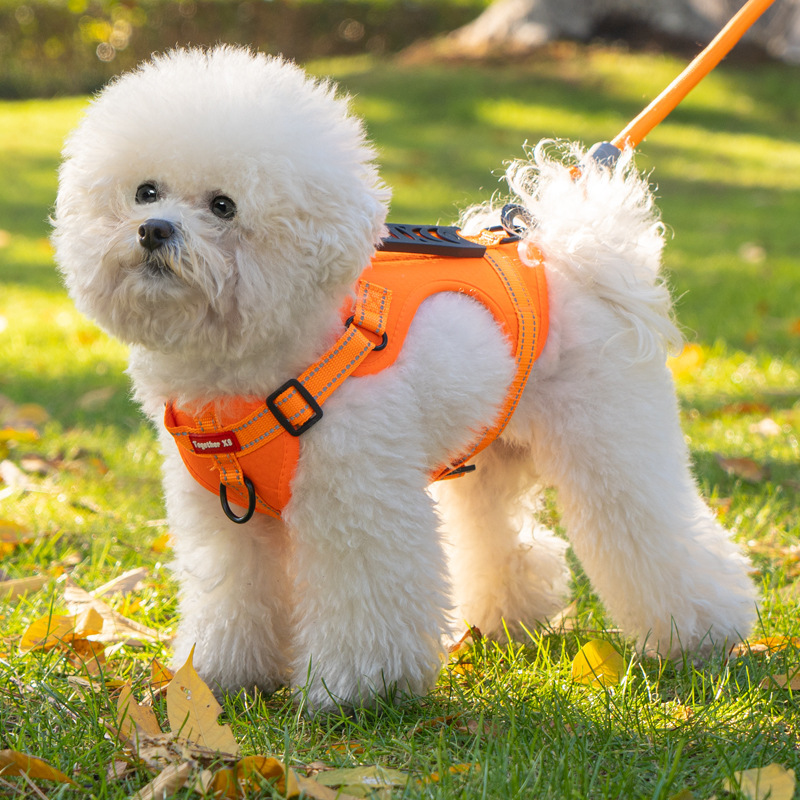 Pet chest and back straps, dog leashes, retractable straps, dog walking supplies, pet leashes, pet leashes, pet supplies, essential for pet outings details Picture