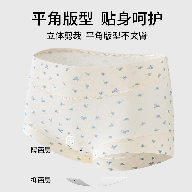 女士丁字裤实物图