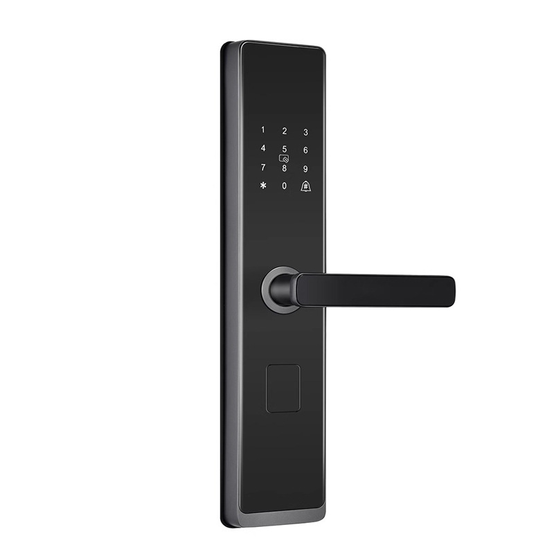The black smart door lock is equipped with a digital keyboard, fingerprint recognition and a green circular indicator light handle Application Scenario