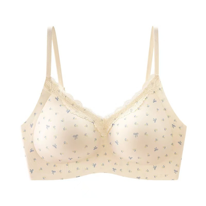 内衣/聚拢胸罩/聚拢杯胸罩/文胸/大杯文胸白底实物图