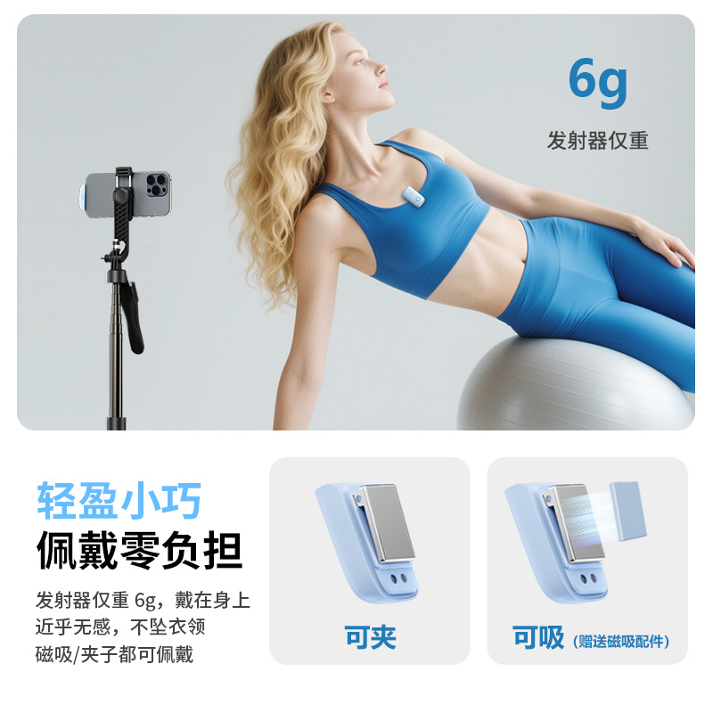 麦克风/话筒实物图