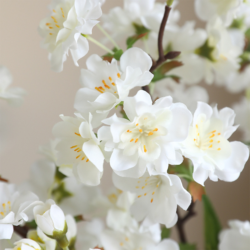 花盆装饰实物图