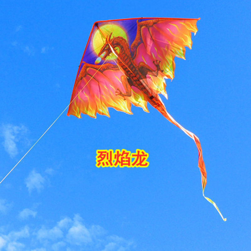 中国龙风筝大人专用大号高级2023新款风筝巨型超级大风筝大型风筝细节图