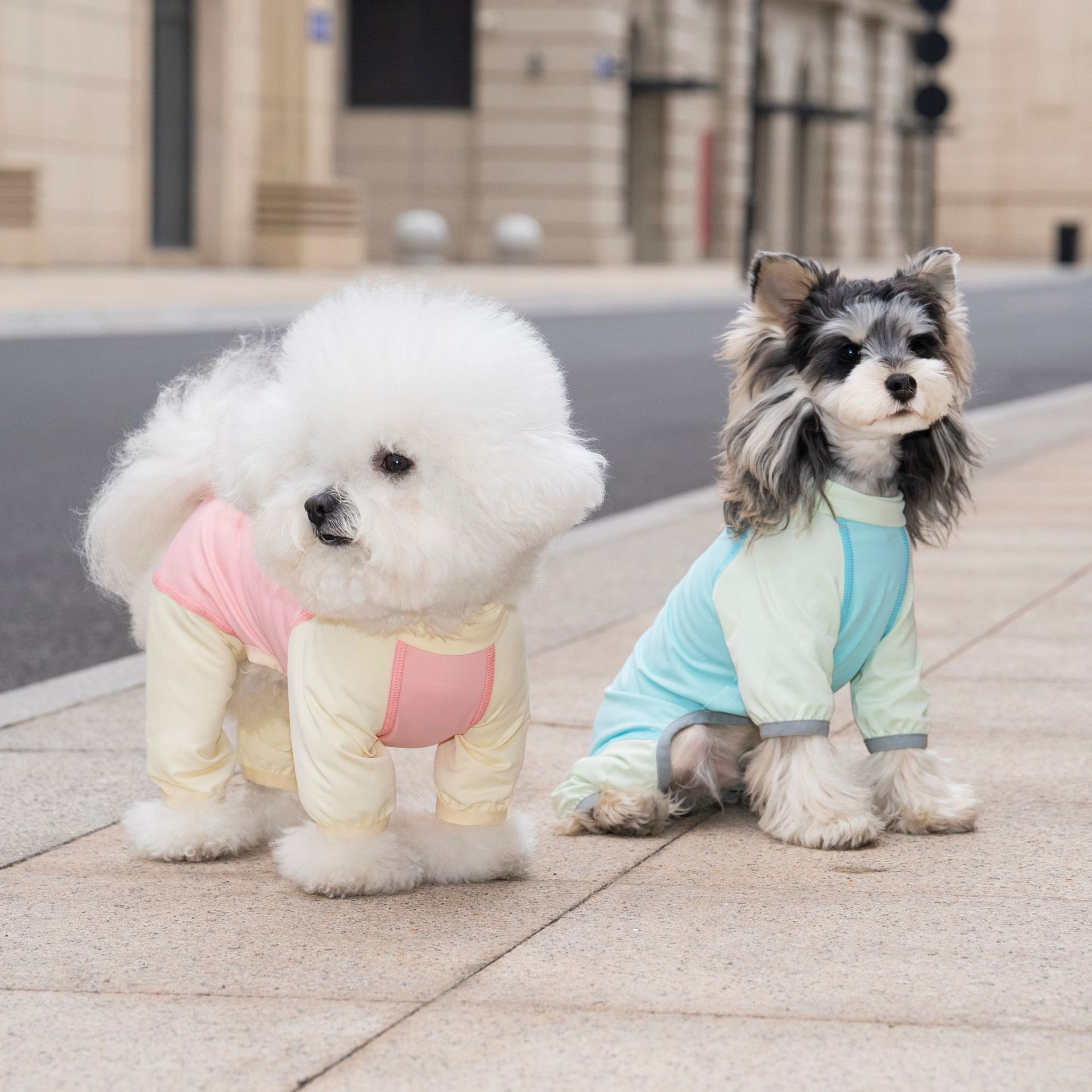 狗狗服装实物图